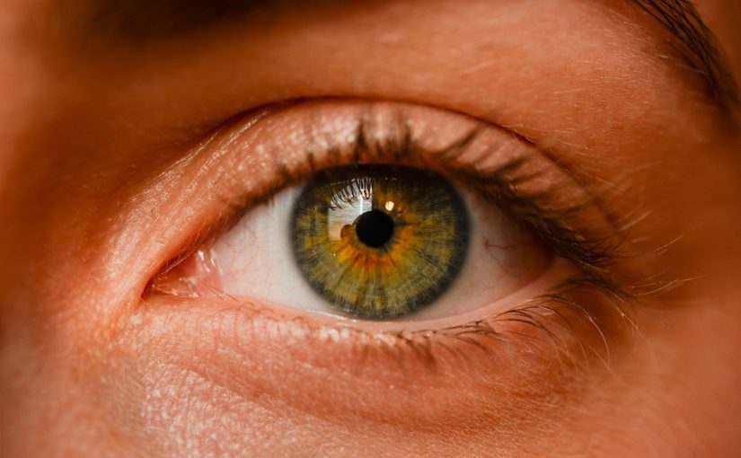 Oczy to nietypowy organ. To właśnie dzięki nim widzimy.